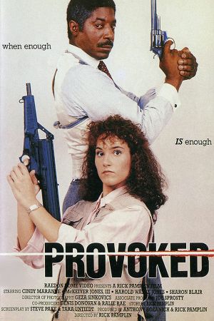 Image Provoked – Der Film
