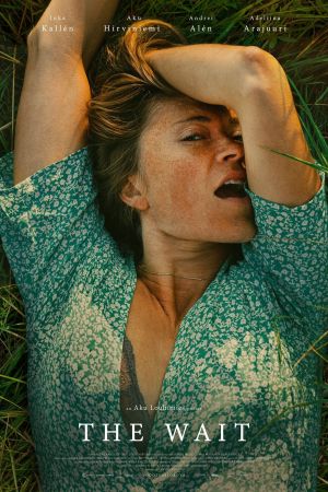 Image Mittsommerlust – Der Film