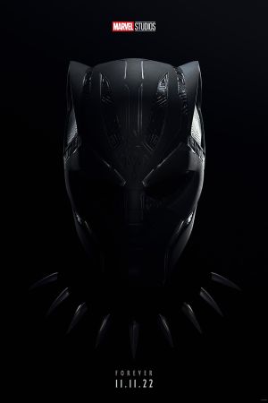 Image Black Panther: Wakanda Forever – Der Film