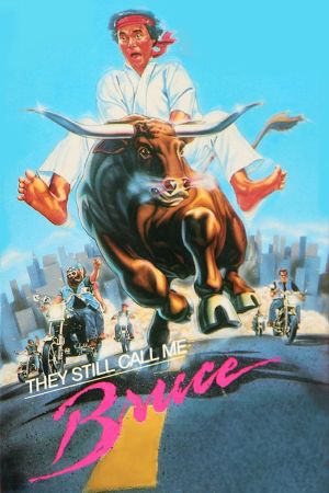 Image Alle nennen mich Bruce – Der Film