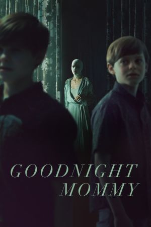 Image Goodnight Mommy – Der Film