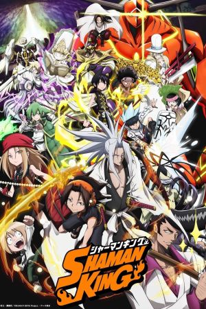 Image Shaman King – Der Film