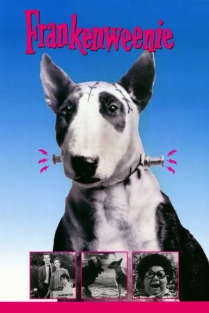 Image Frankenweenie – Der Film