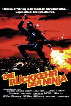 Image Die Rückkehr der Ninja – Der Film