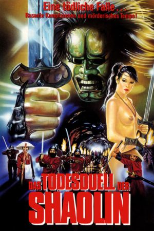 Image Das Todesduell der Shaolin – Der Film