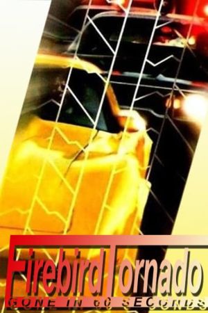 Image Firebird Tornado – Der Film