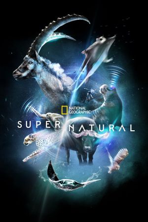 Image Super/Natural – Der Film