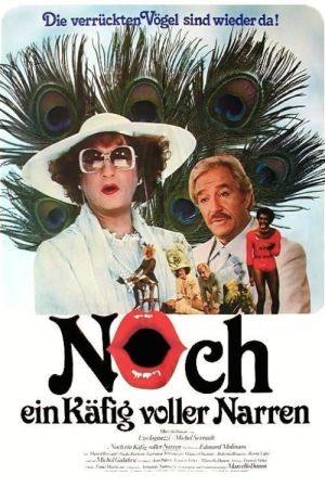Image Noch ein Käfig voller Narren – Der Film