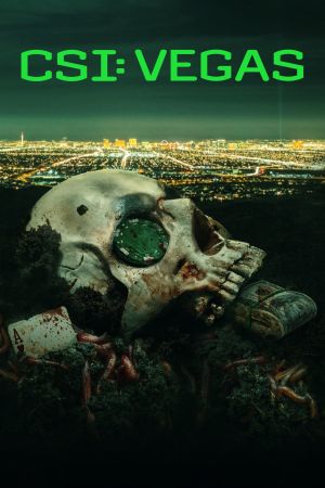 Image CSI: Vegas – Der Film