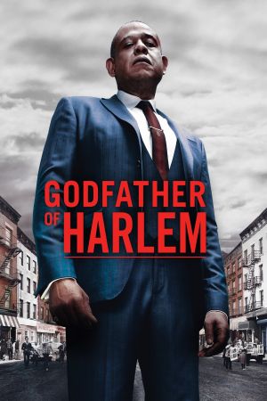 Image Godfather of Harlem – Der Film