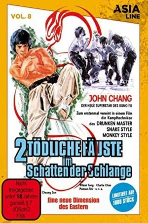 Image 2 tödliche Fäuste im Schatten der Schlange – Der Film