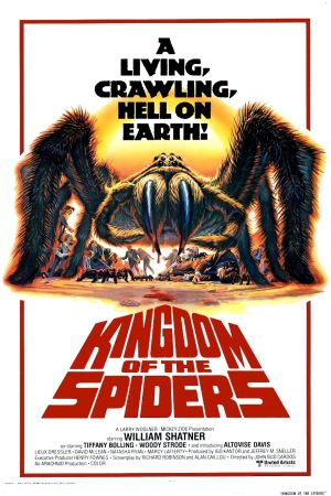 Image Mörderspinnen – Der Film