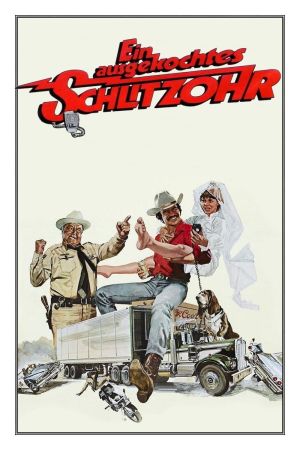 Image Ein ausgekochtes Schlitzohr – Der Film