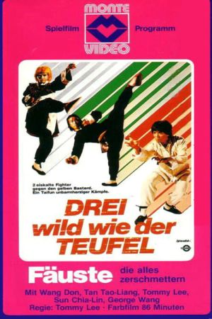 Image Drei wild wie der Teufel – Der Film