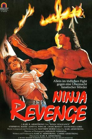 Image Ninja Vengeance – Der Film