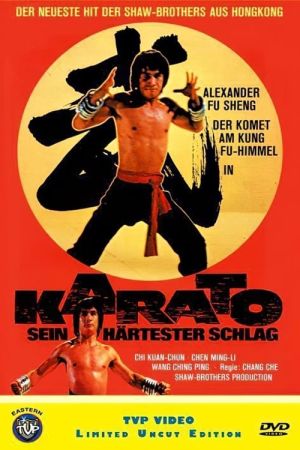 Image Karato - Sein härtester Schlag – Der Film