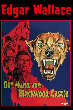 Image Edgar Wallace - Der Hund von Blackwood Castle – Der Film