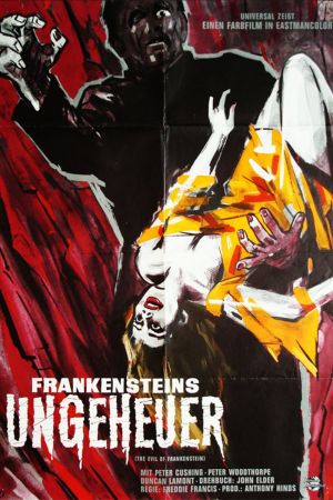 Image Frankensteins Ungeheuer – Der Film