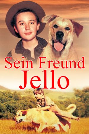 Image Sein Freund Jello – Der Film
