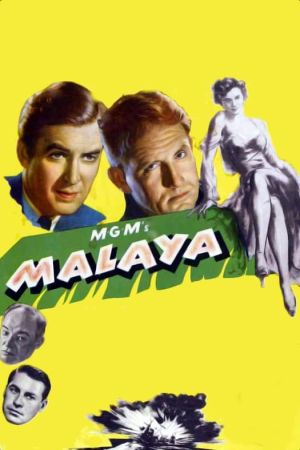 Image Malaya – Der Film