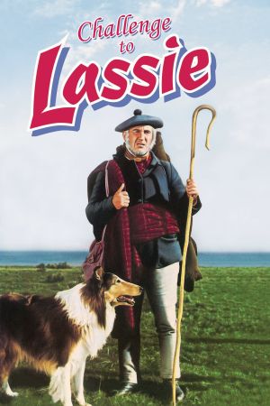 Image Lassie in Not – Der Film