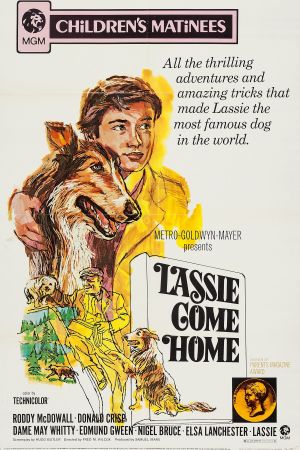 Image Heimweh – Der Film
