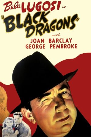 Image Black Dragons – Der Film