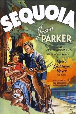 Image Sequoia - Herrin der Wildnis – Der Film