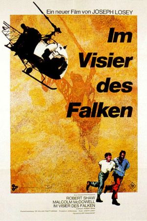 Image Im Visier des Falken – Der Film