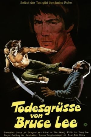 Image Todesgrüße von Bruce Lee – Der Film