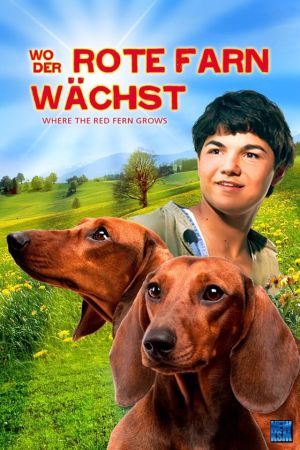 Image Wo der rote Farn wächst – Der Film