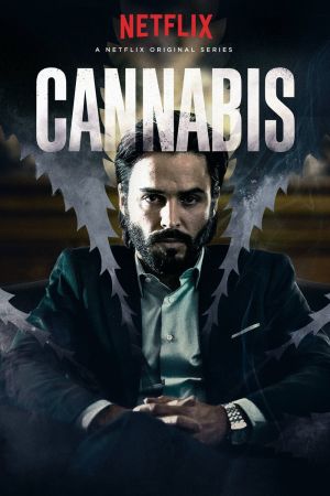 Image Cannabis – Der Film