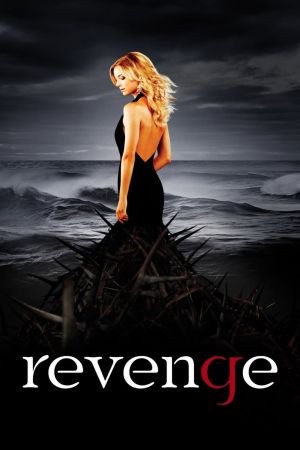 Image Revenge – Der Film