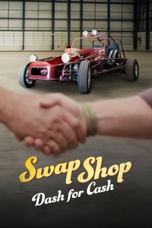 Image Swap Shop – Der Film