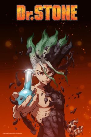 Image Dr. STONE – Der Film