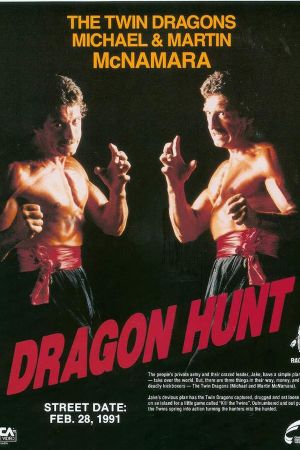 Image Dragon Hunt – Der Film
