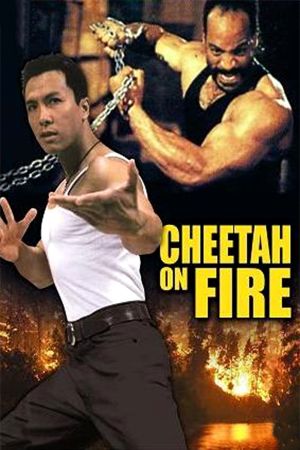 Image Cheetah on Fire – Der Film