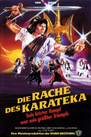 Image Die Rache des Karateka – Der Film