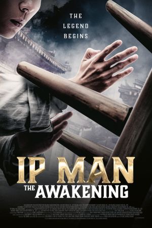 Image Ip Man: The Awakening – Der Film