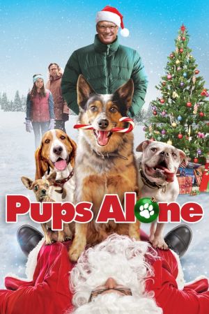 Image Hunde - Allein zu Haus – Der Film