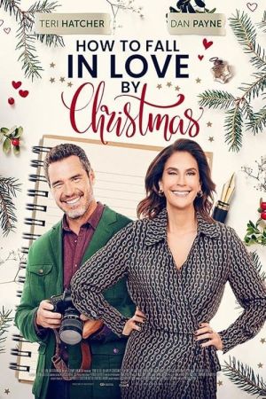 Image Traummann fürs Weihnachtsfest gesucht – Der Film