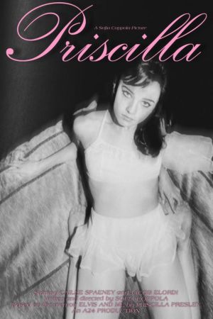 Image Priscilla – Der Film