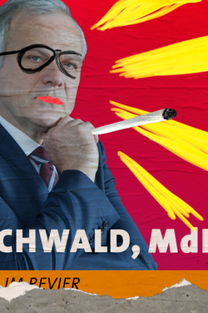 Image Eichwald, MdB – Der Film