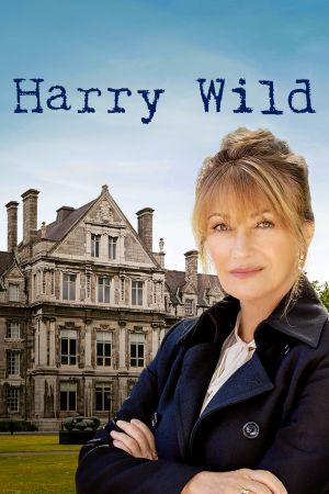 Image Harry Wild - Mörderjagd in Dublin – Der Film