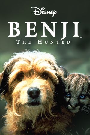 Image Benji, sein größtes Abenteuer – Der Film