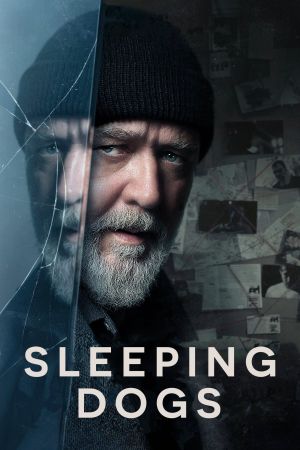 Image Sleeping Dogs – Der Film