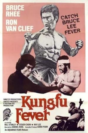 Image Das blutige Vermächtnis der Shaolin – Der Film