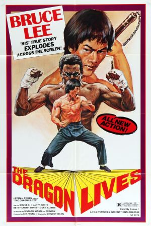 Image Bruce Lee - Gigant des Kung Fu – Der Film