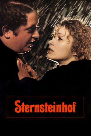 Image Der Sternsteinhof – Der Film