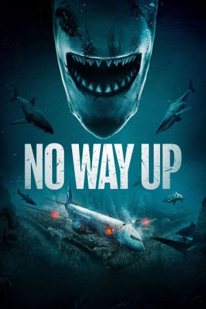 Image No Way Up – Der Film